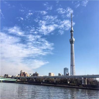 滚动的小球游戏