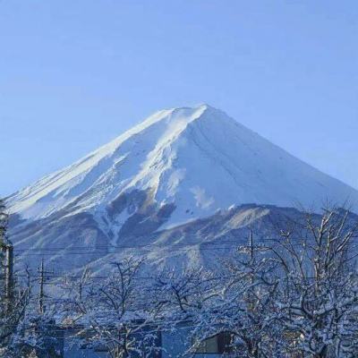 上古仙侠手游下载